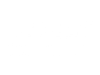 Apec Link Logo